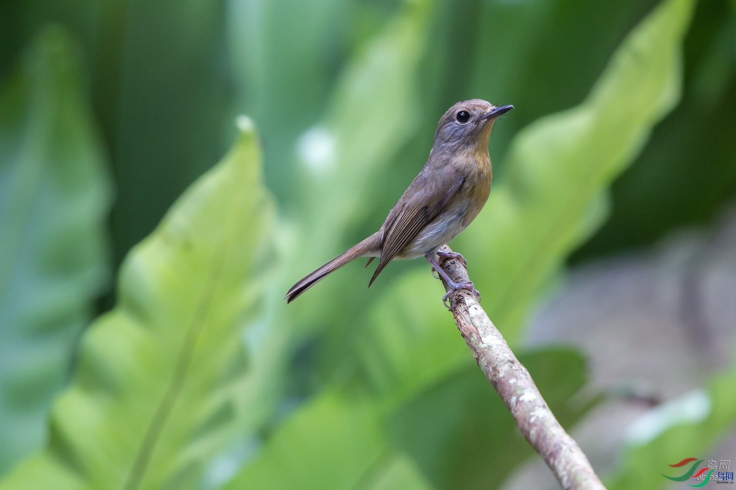 ��һ ��ʦ�����ڹ���׳��������������������.jpg