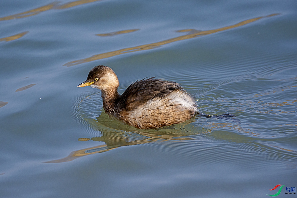 _DSC3180 - ����.jpg