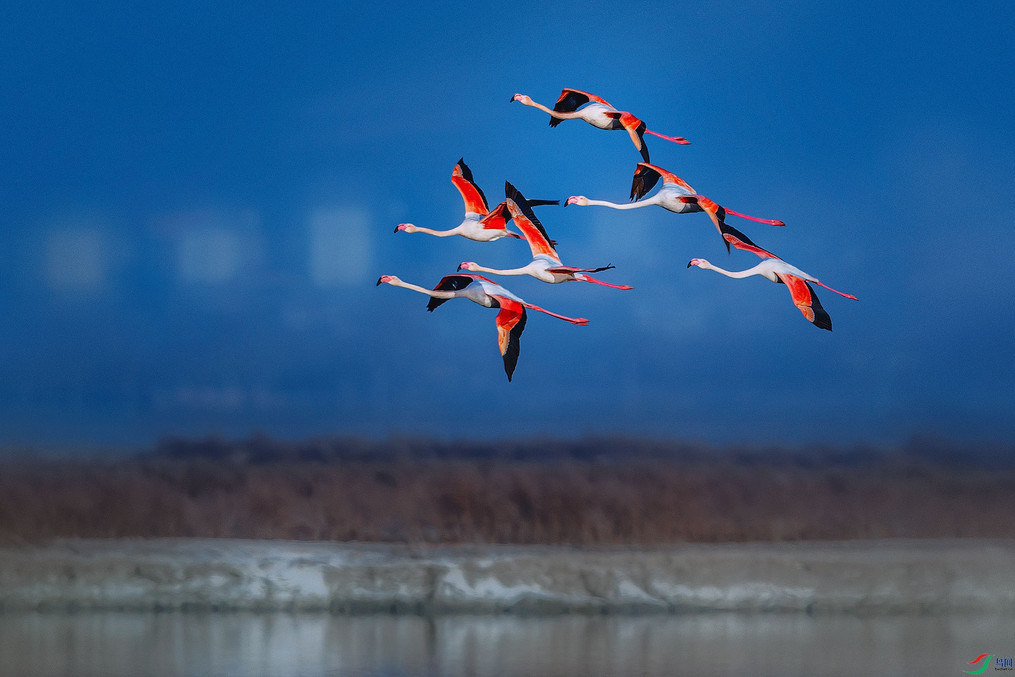 _DSC1187_1a ����.jpg