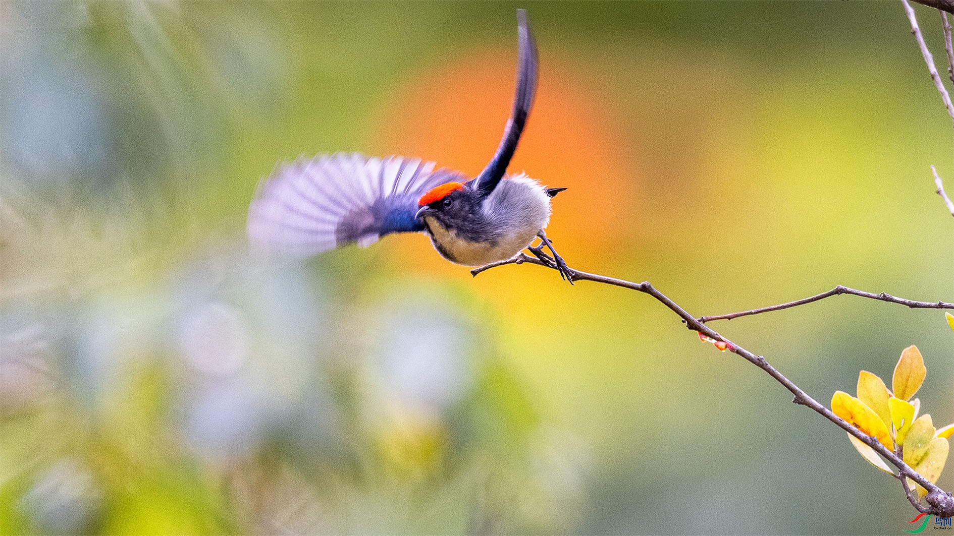 _02A6173n ����.jpg