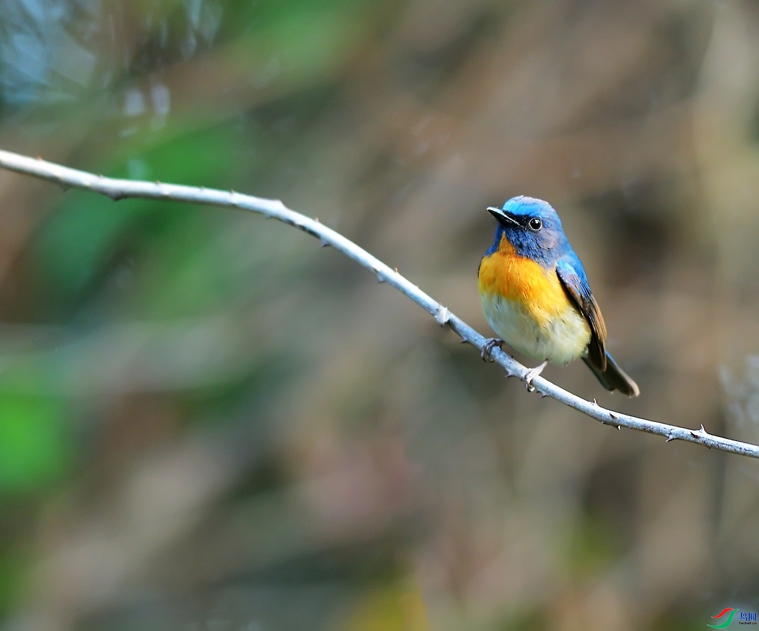 �����ɹ�  ��ʦ������.jpg