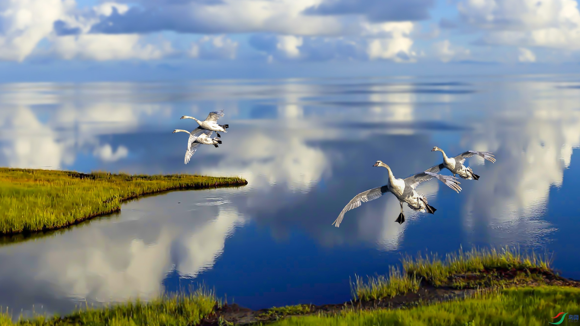 �ֵ� 1920x500k.jpg