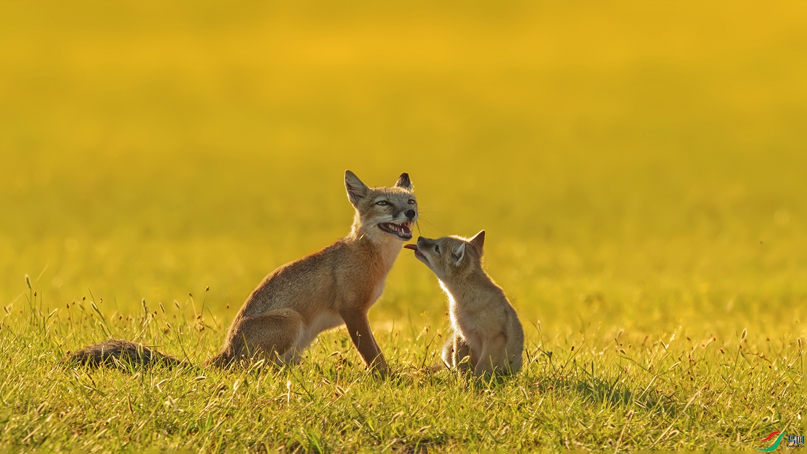 ���� С��������ͷ������꣨��ͼ����.jpgf����.jpg