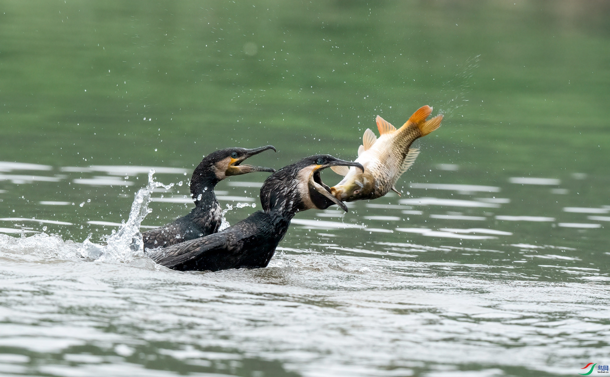 �������࣡