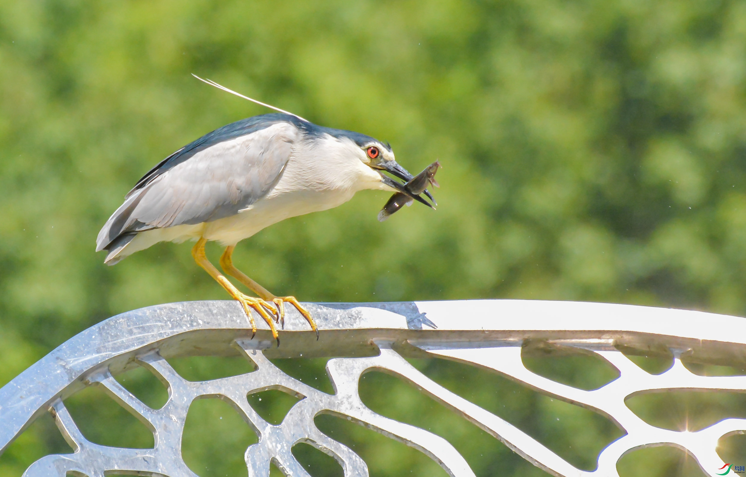 DSC_0423.jpg