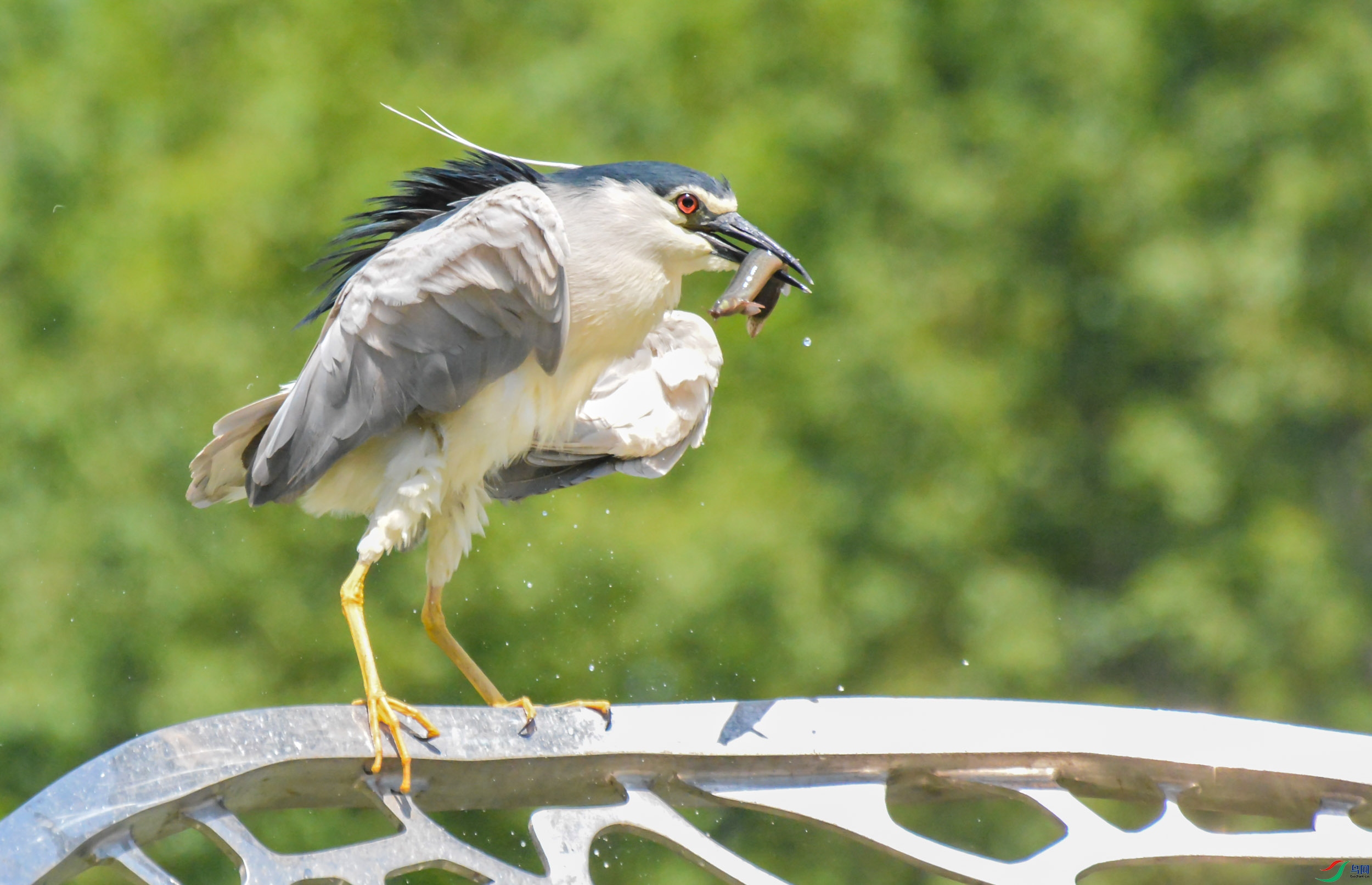 DSC_0434.jpg