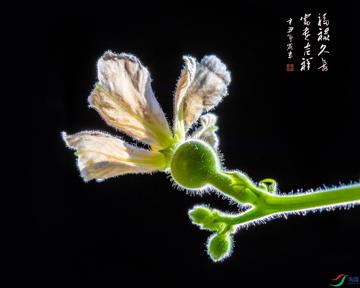 _MGL1472 ����A.jpg