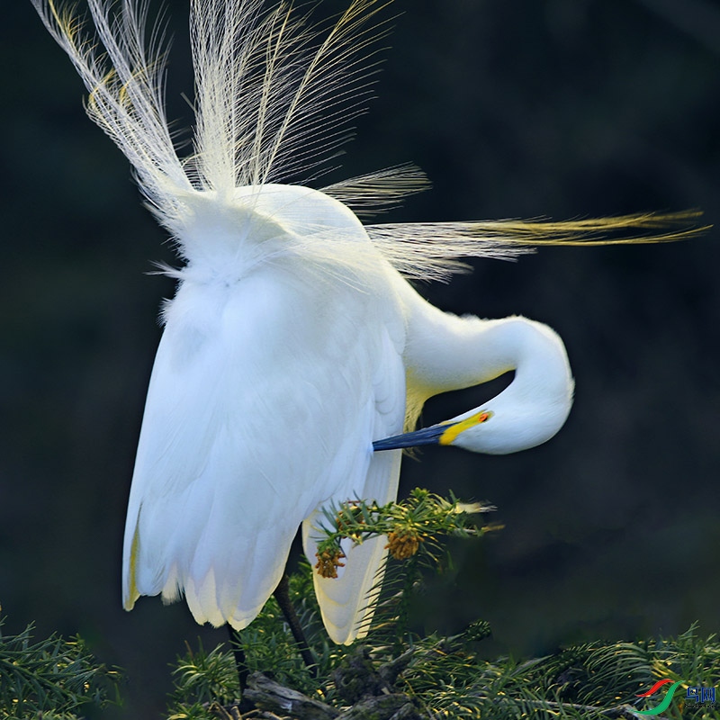 H3A0658-.jpg