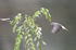 _C5R3510_���� - ���� - ����.jpg