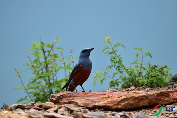 File0000051217.jpg