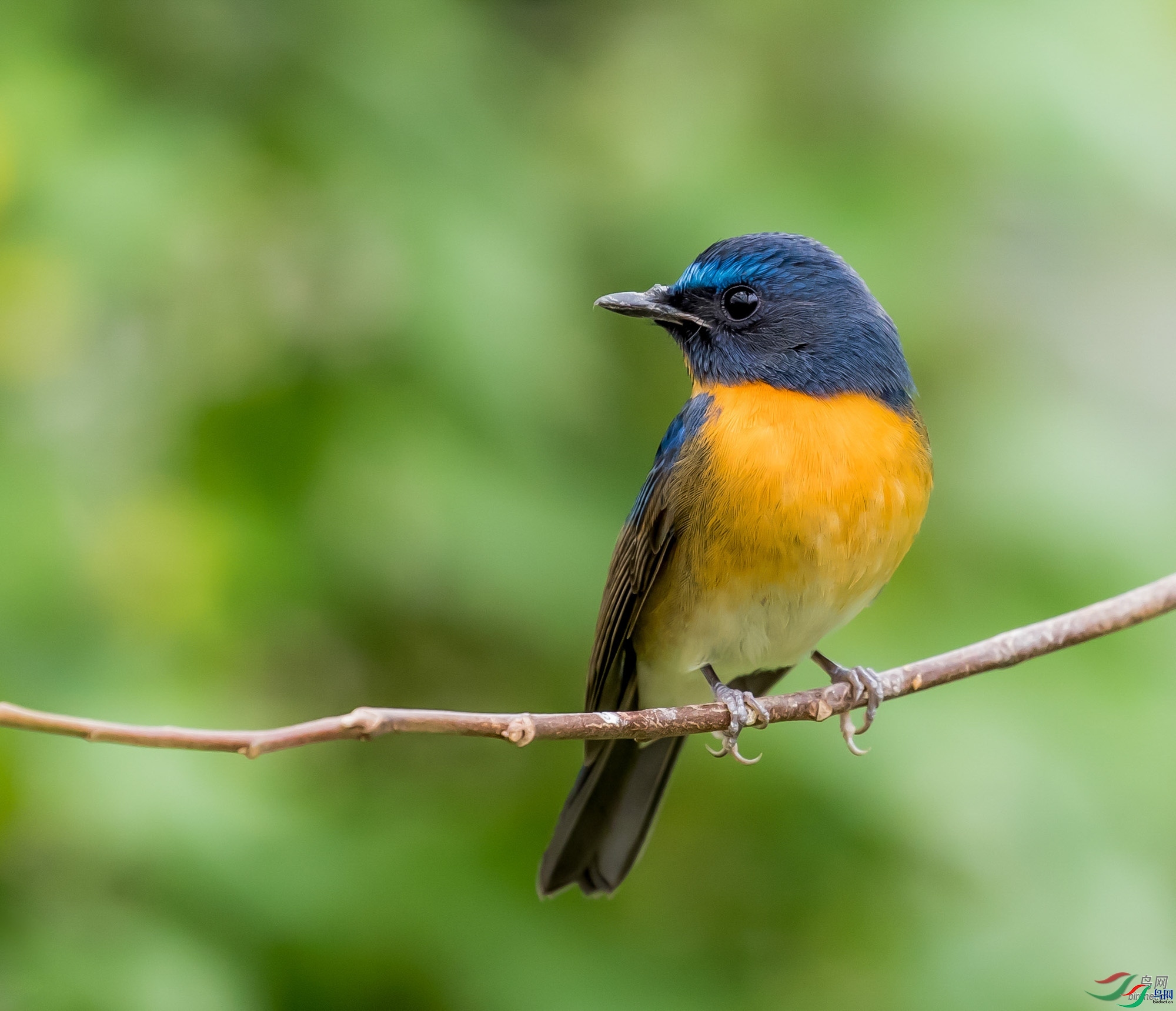 KKz  ��ʦ�����ڹ㶫ʡ������.jpg