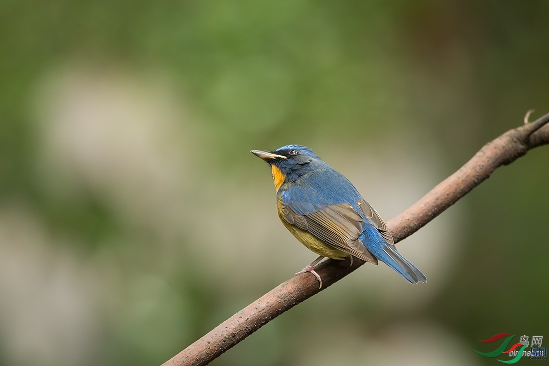 ϲ��  ��ʦ�������Ĵ�ʡ�ɶ���.jpg