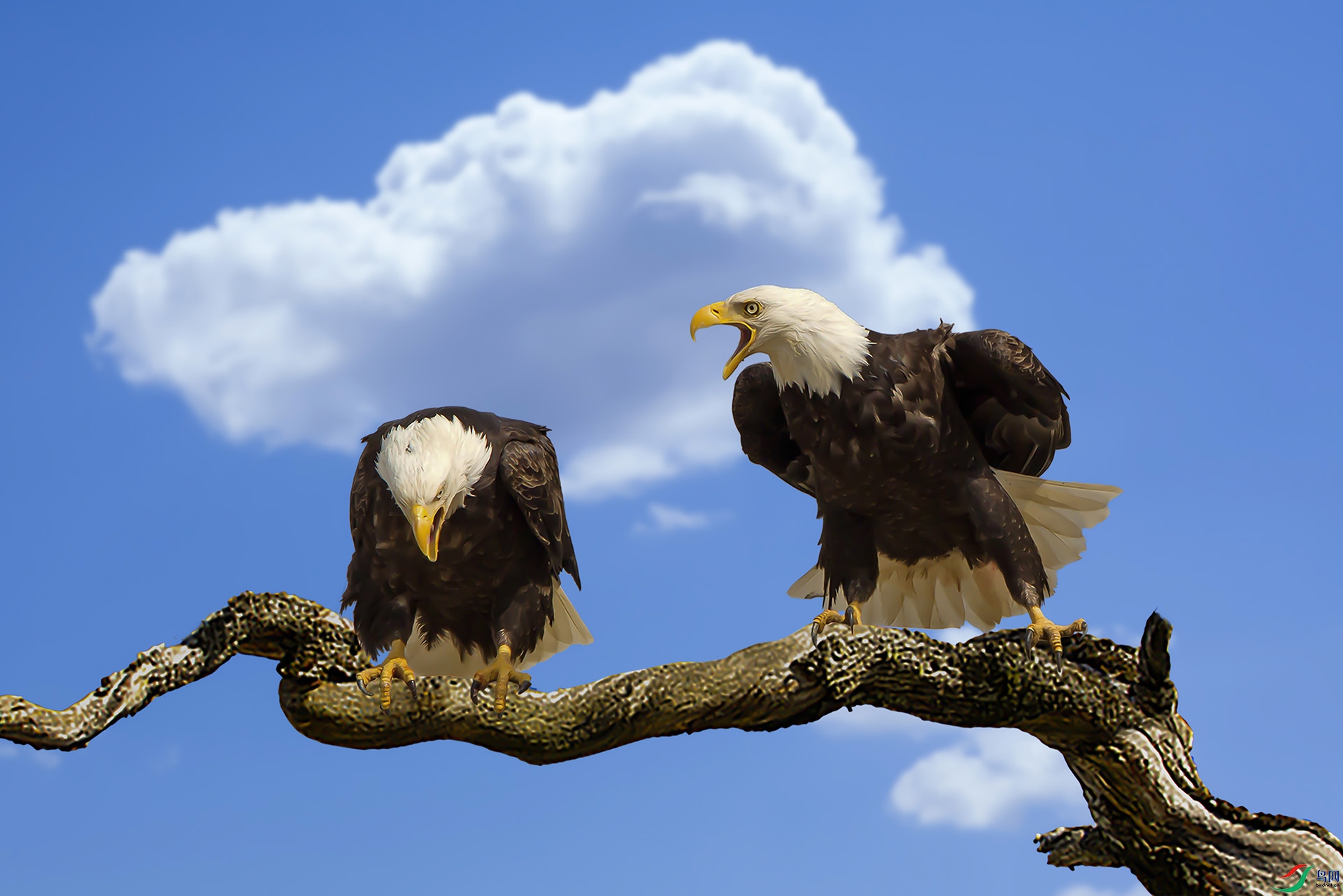 ��ѵ 1920x500k.jpg