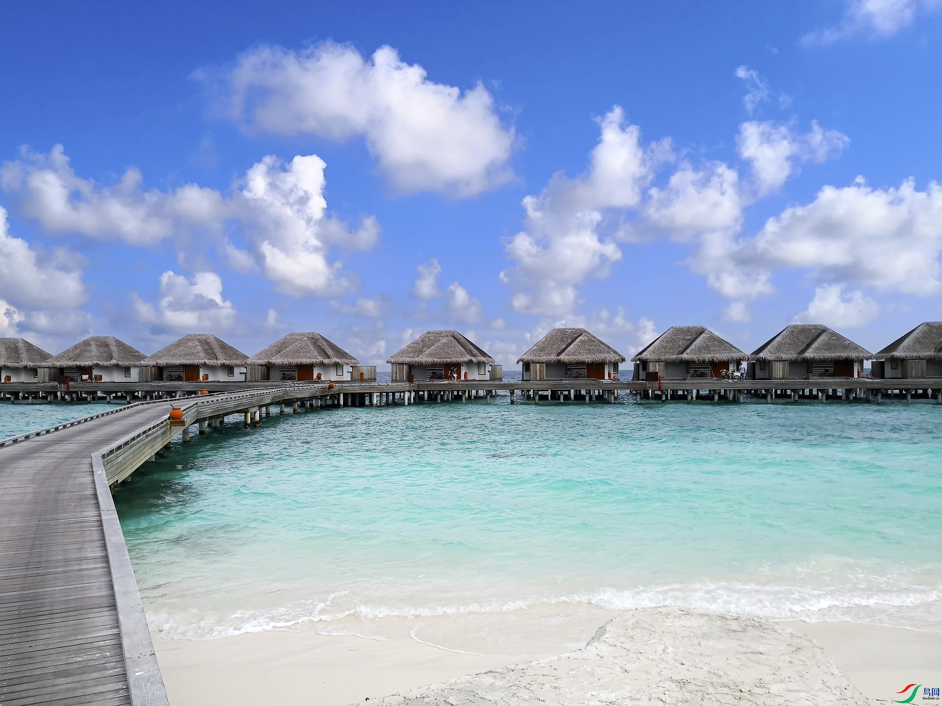 IMG_20180131_091543 ����.jpg