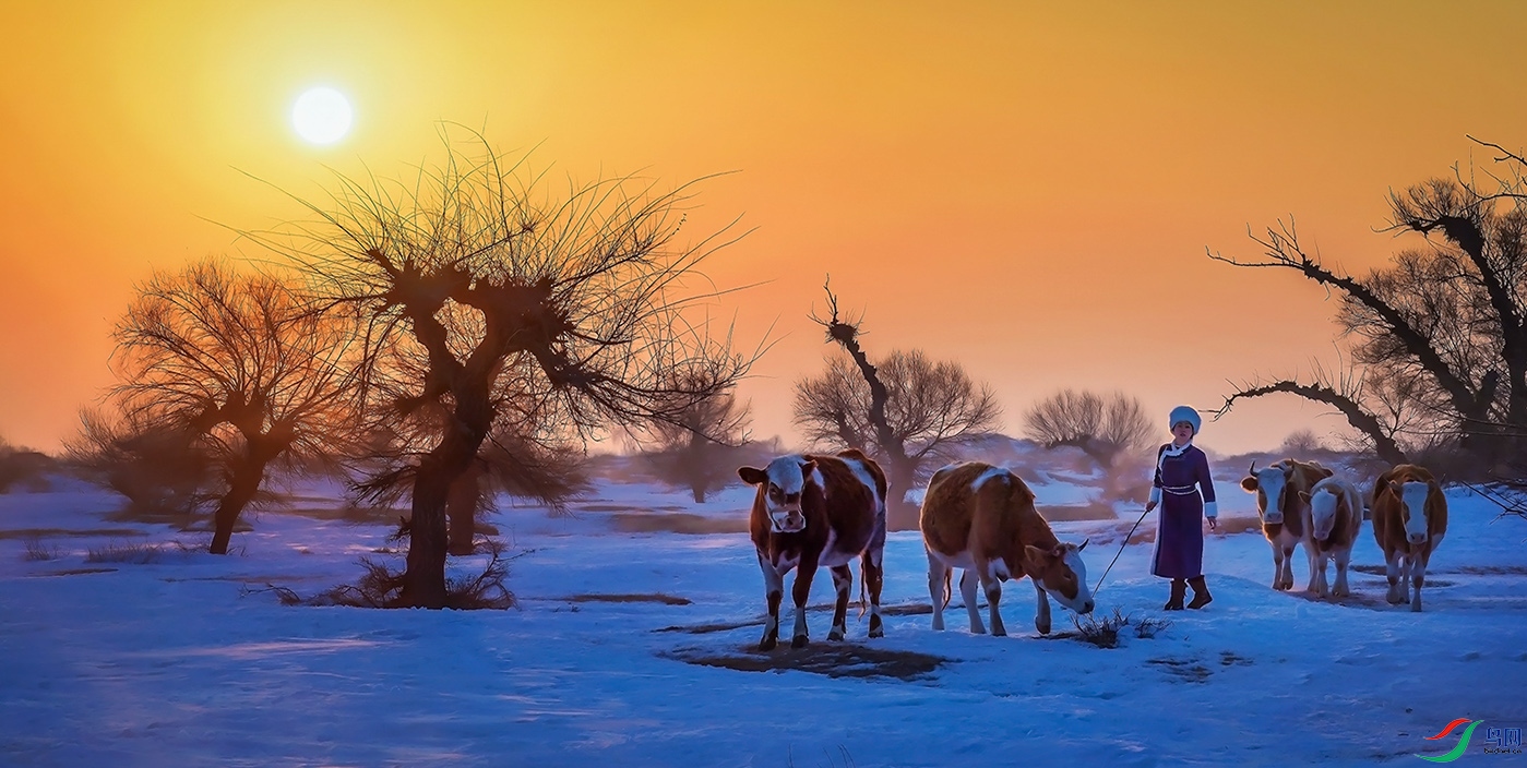 ���������ɹ������졣