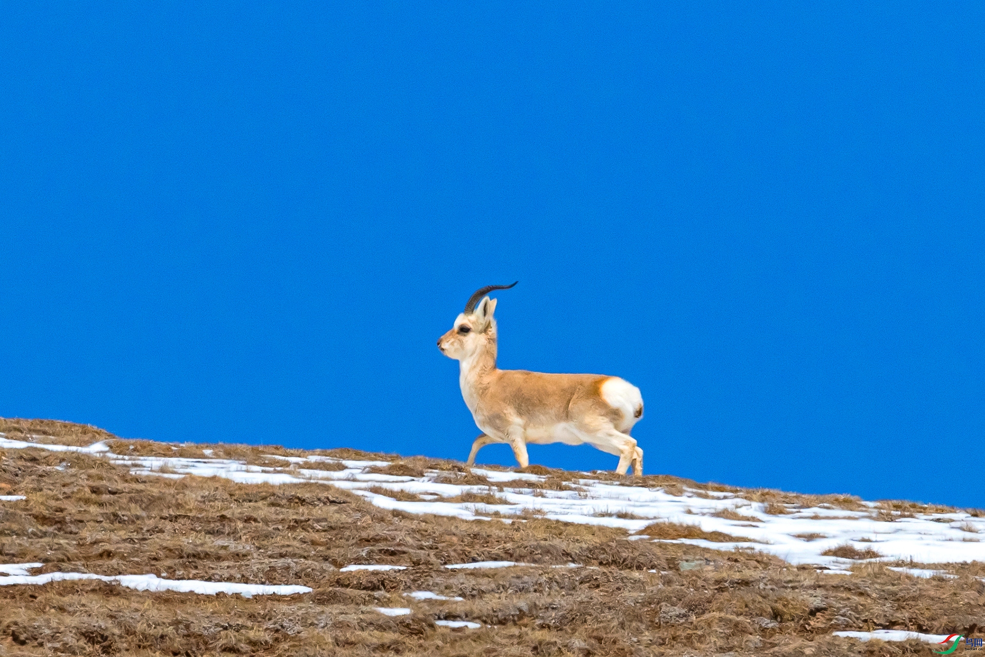 AO4I1648-3 ����.jpg