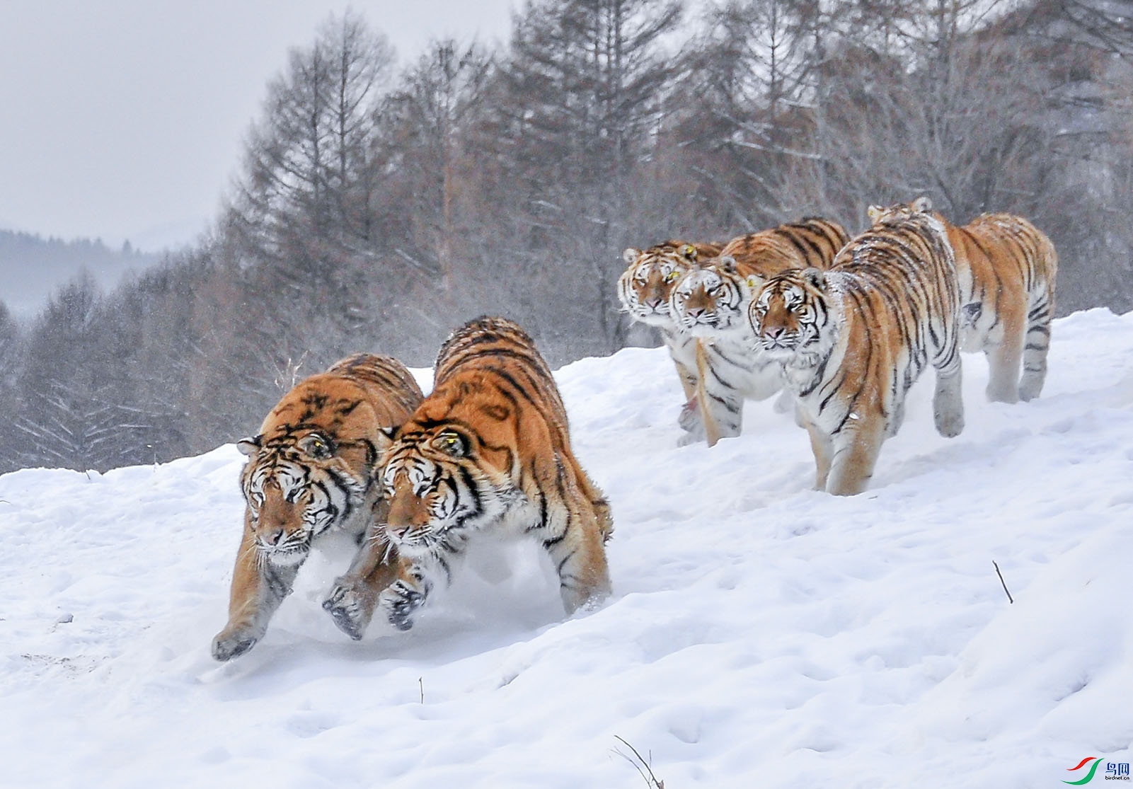 _DSC8688yy.jpg