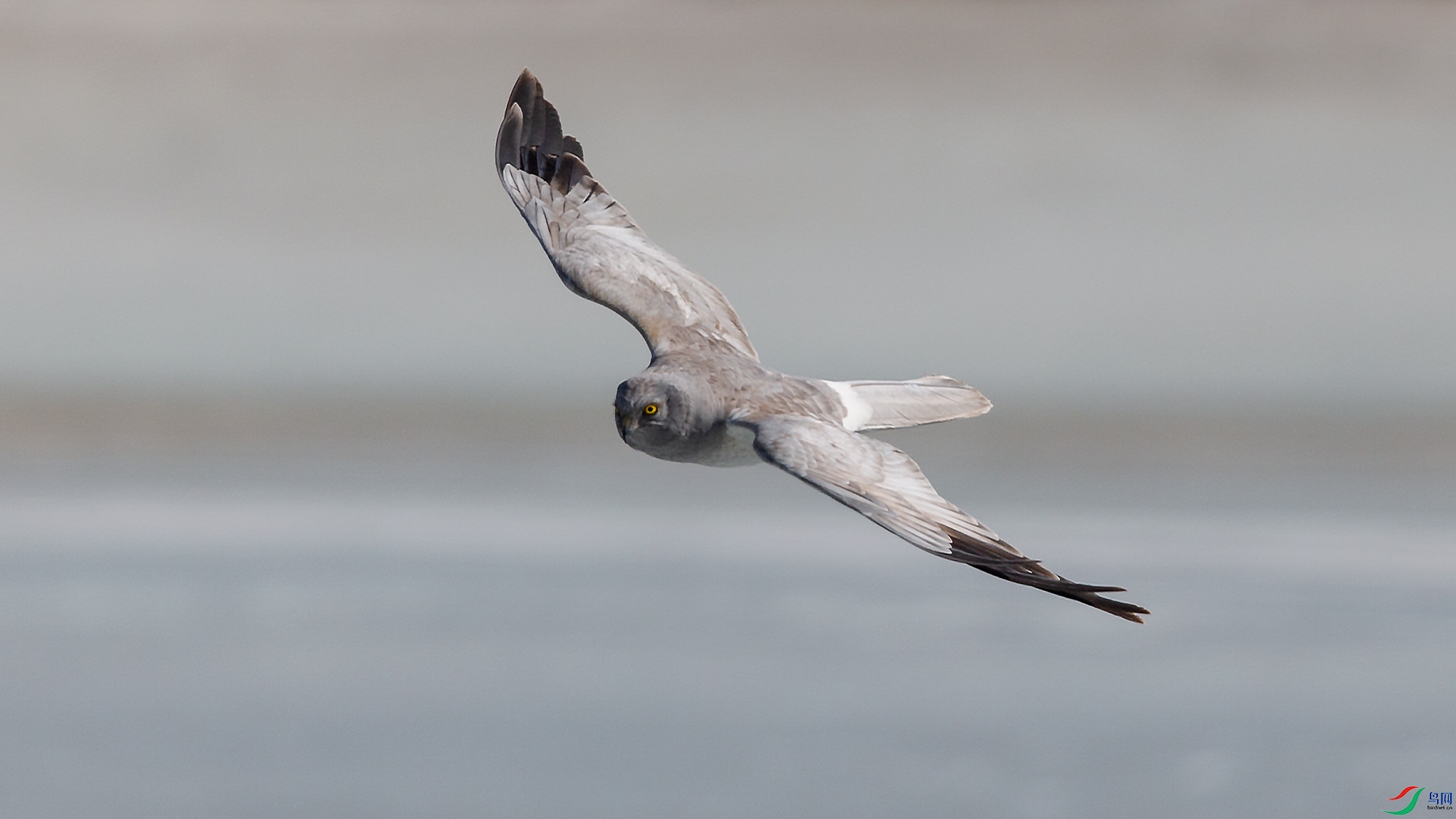 A15J5343-20220131-1.jpg