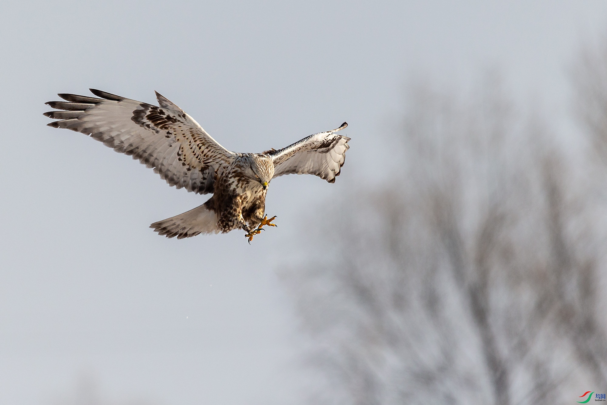 A15J2153-20220131-1.jpg
