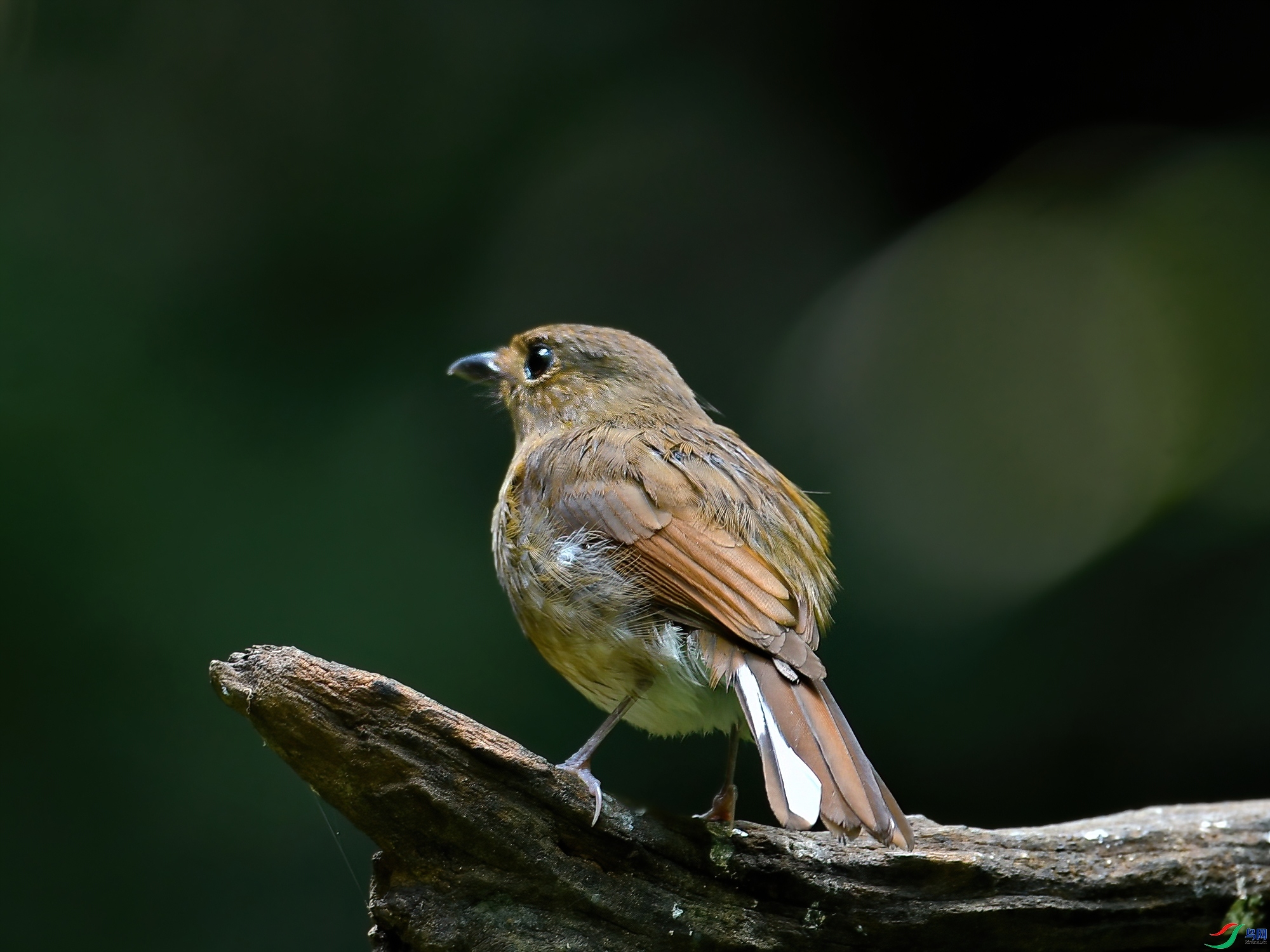 ����gx  ��ʦ����������ʡ�º���徰���������� ӯ����.jpg