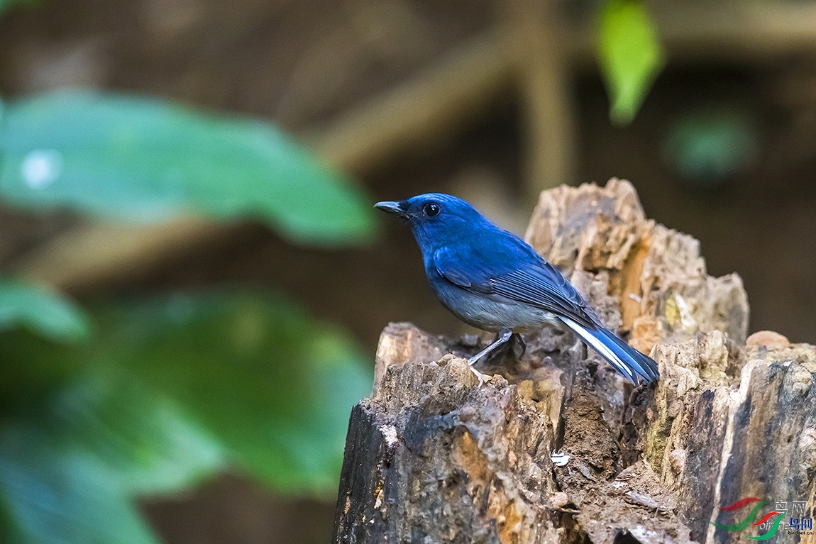 ��������  ��ʦ����������ʡ�º���徰����������.jpg