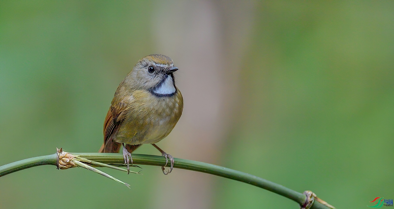 ������  ��ʦ����������ʡ��ɽ���ڳ���0.jpg