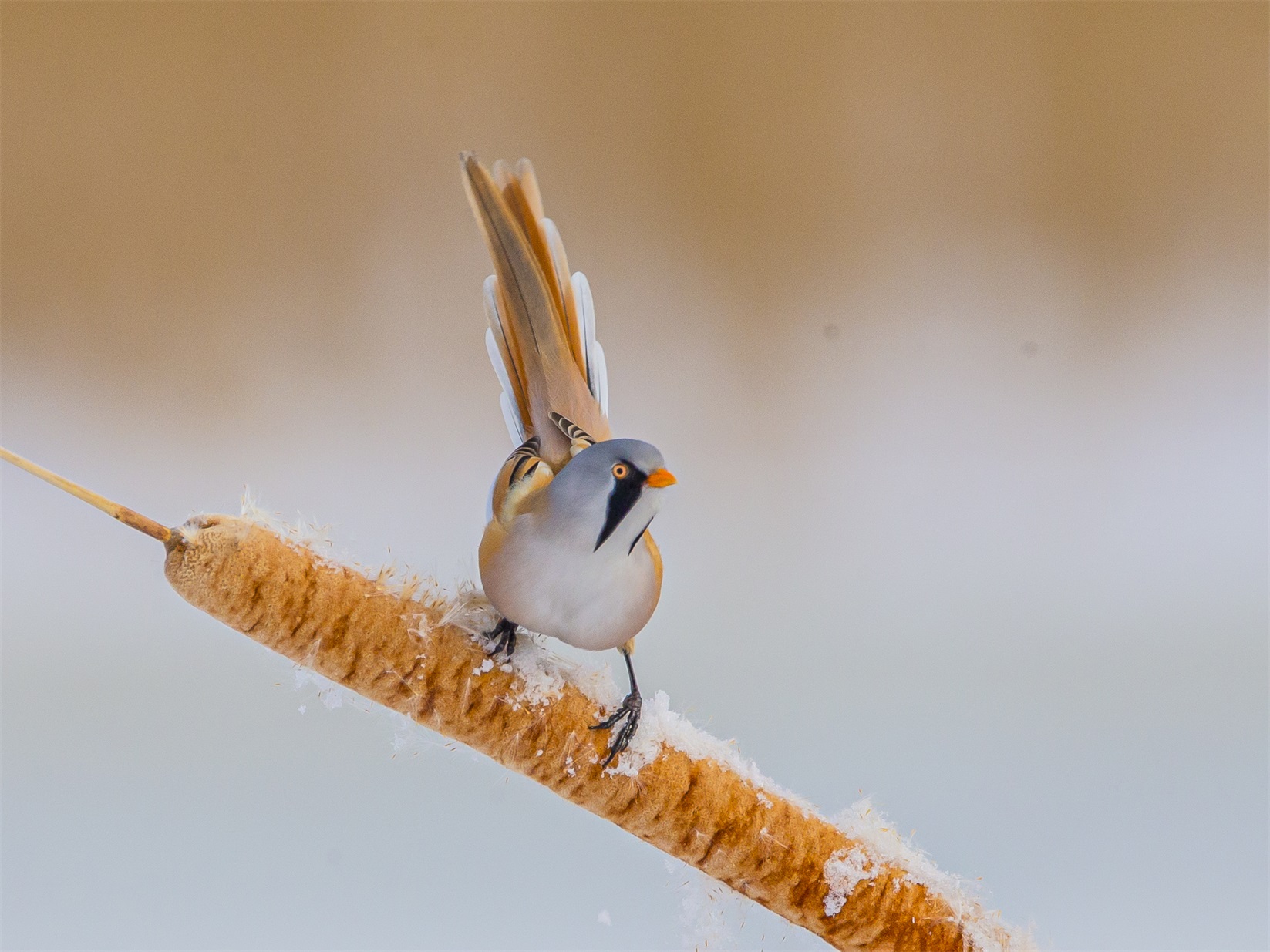 2258 ����1.jpg