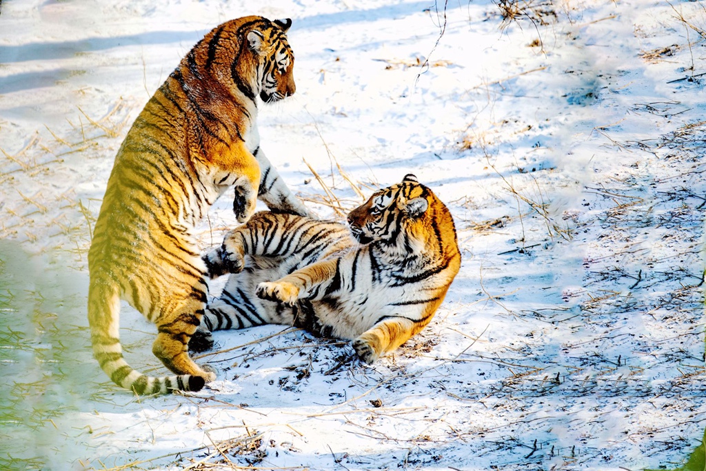 �������� (1).jpg