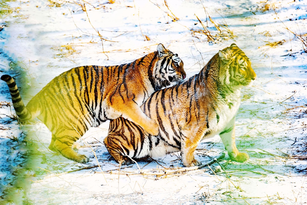 �������� (2).jpg