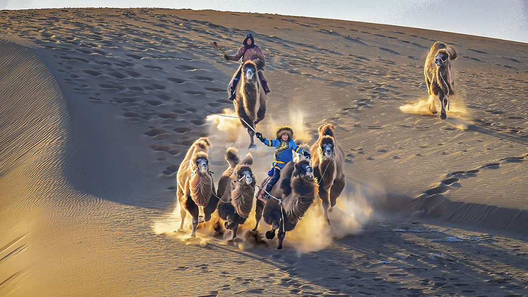 ���������ɹ������챦��ͼ��