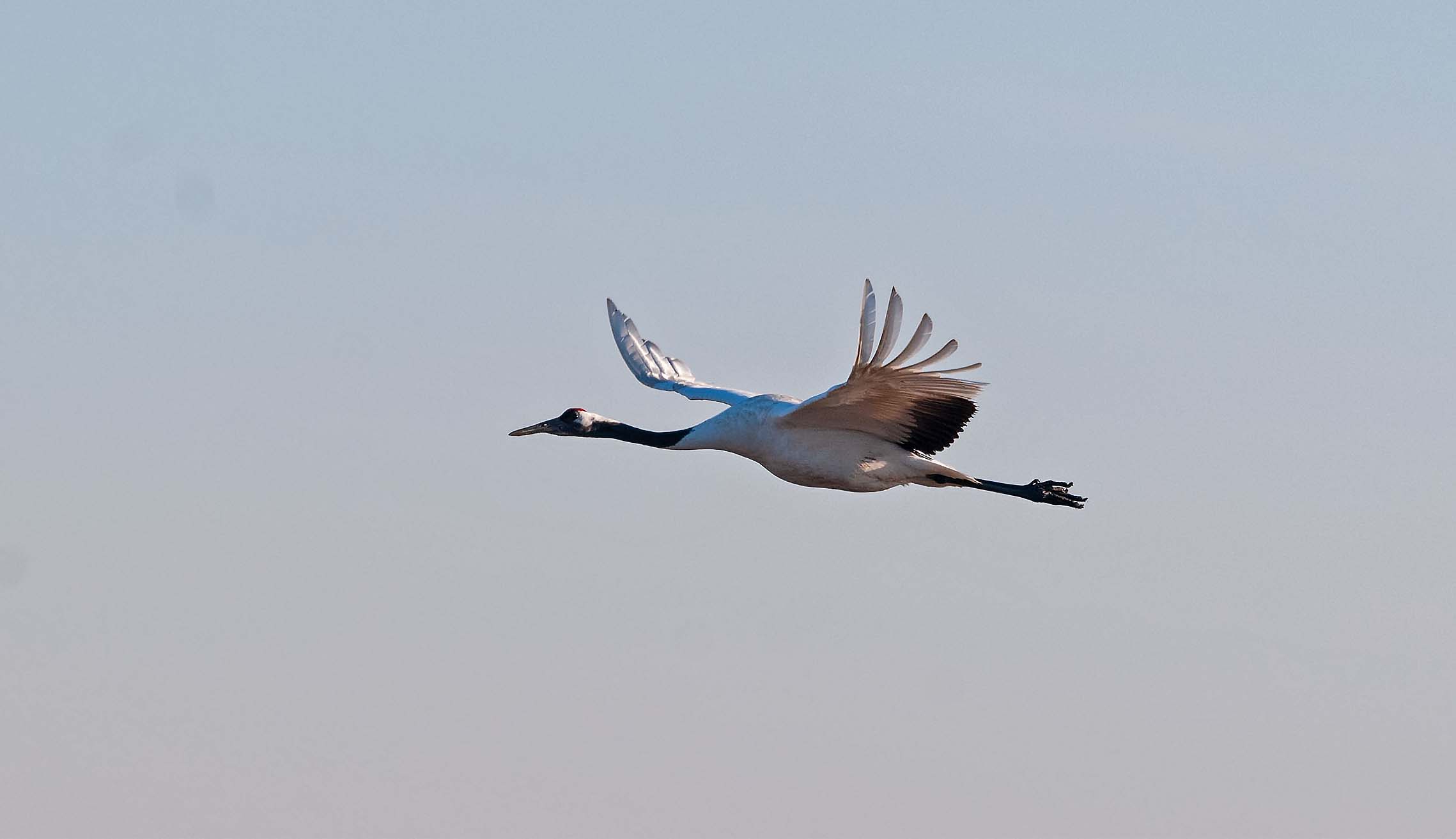 DSC_0104-3.jpg