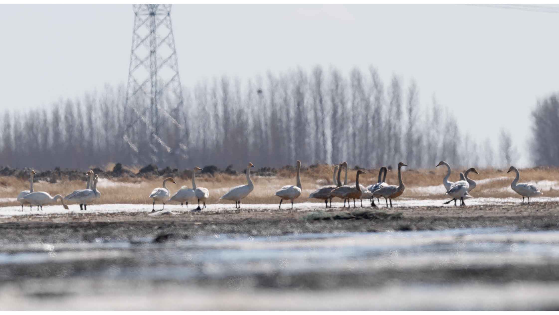 DSC_2593-3.jpg