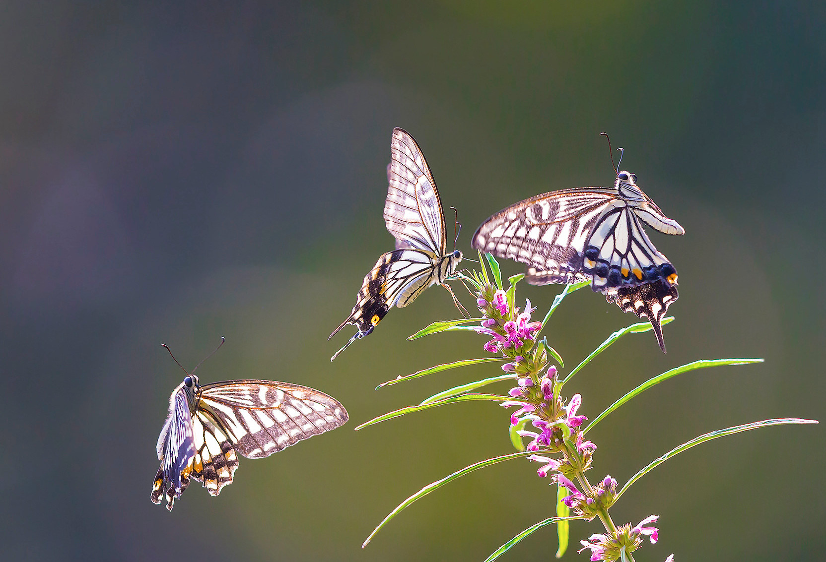 _O1I1025 ����.jpg