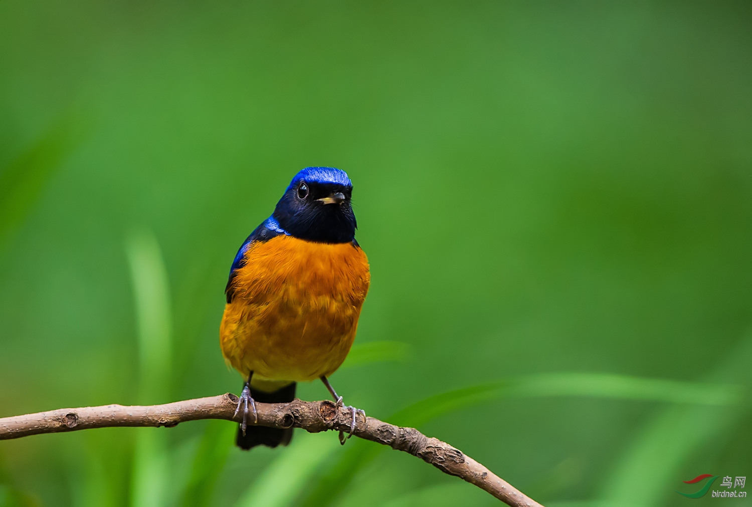 ��֮�Ժ�  ��ʦ������.jpg