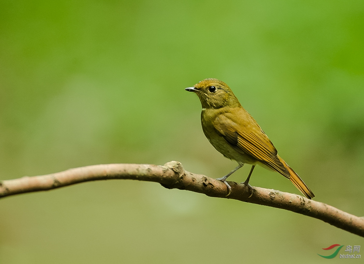 ����  ��ʦ������.jpg