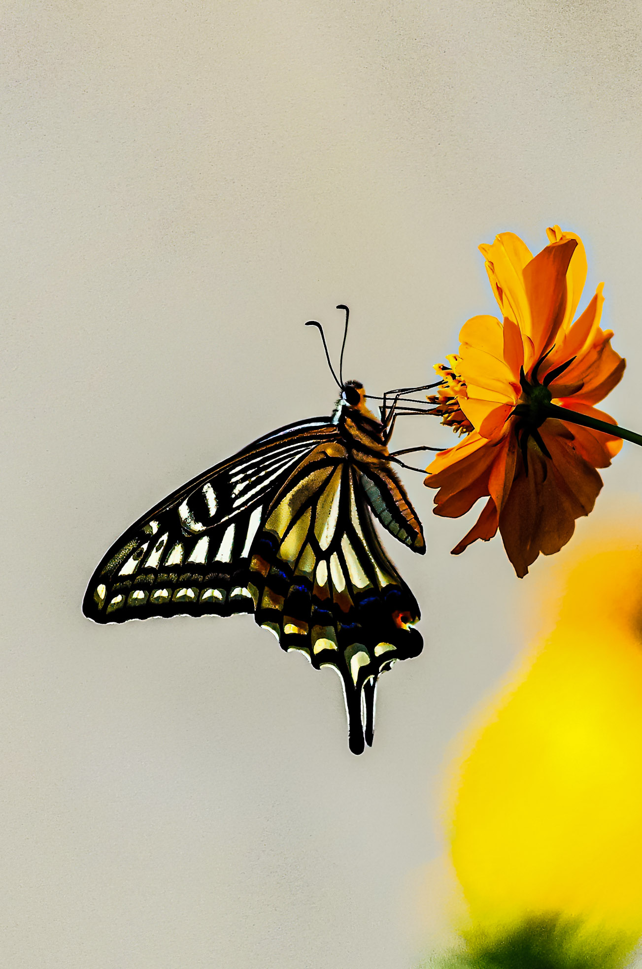 QQphoto.jpeg.jpeg-sharpen-stabilize.jpg