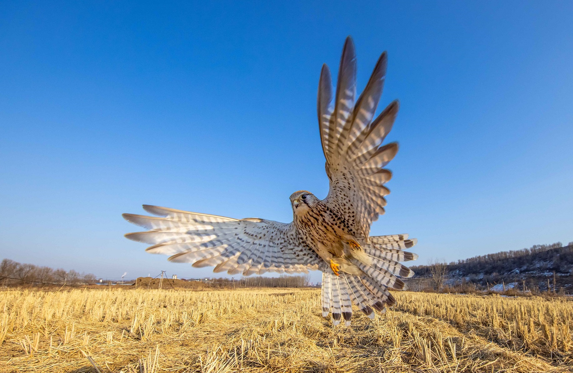 ����ѽ�-�����һ��