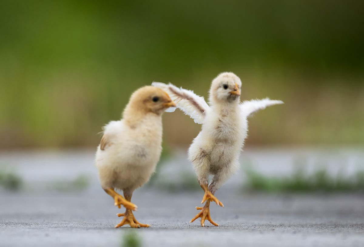 _DSC0906.jpg- - ����.jpg-.jpg