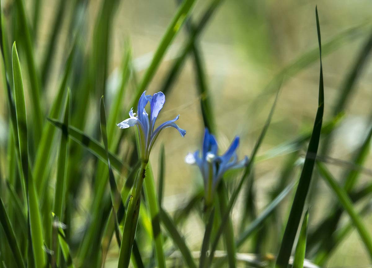 _DSC1536.jpg-1 - ���� - ����.jpg