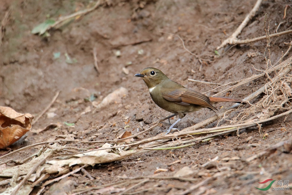 ����  ��ʦ������.jpg