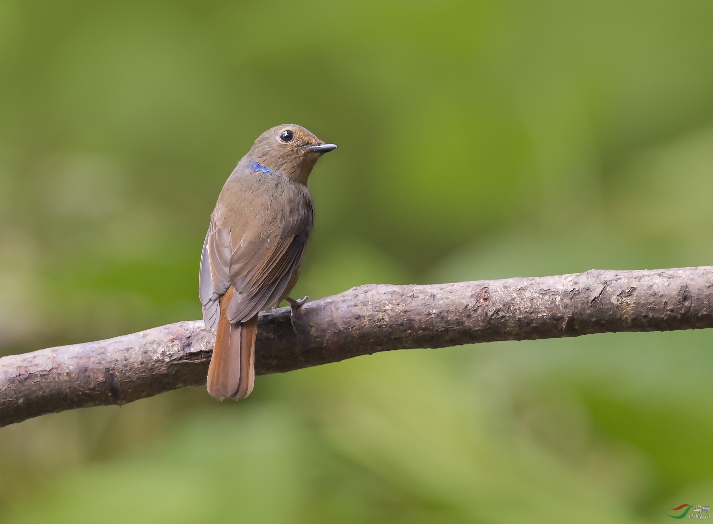 С�����  ��ʦ������.jpg