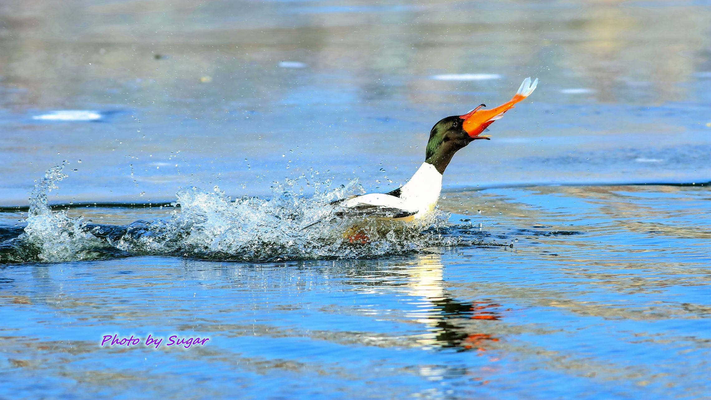 ��������2