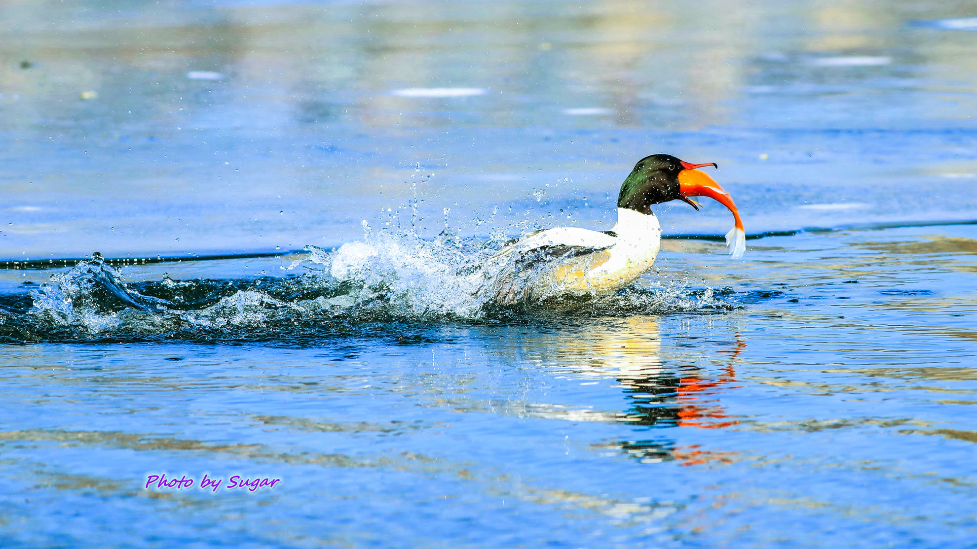 ��������3