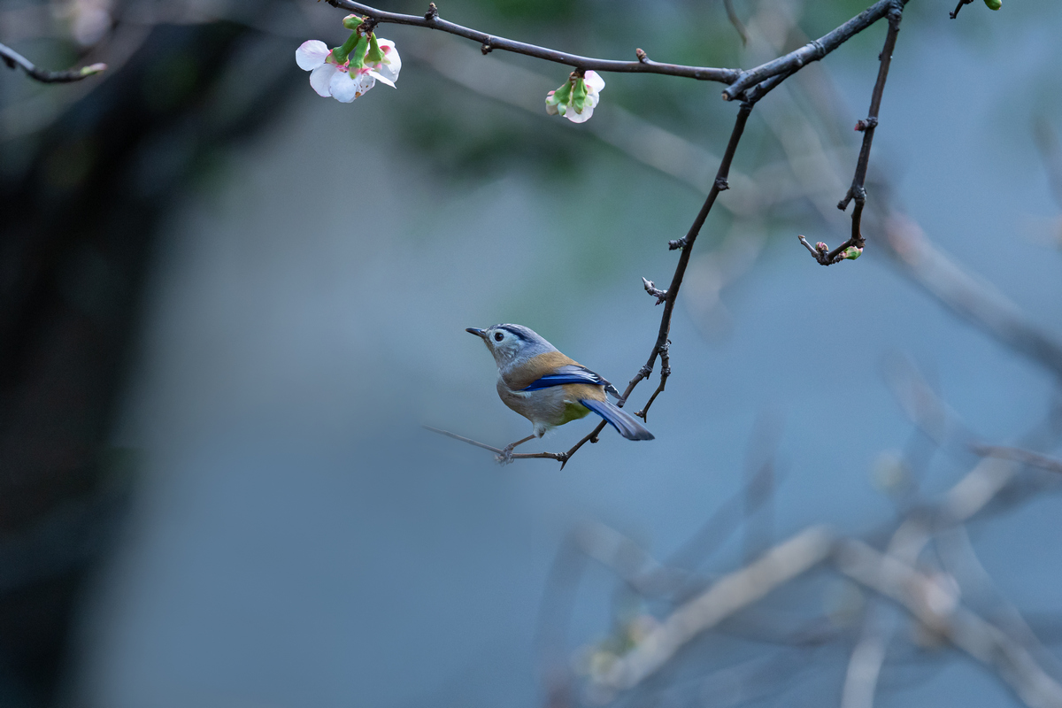 DSC_1791a.jpg