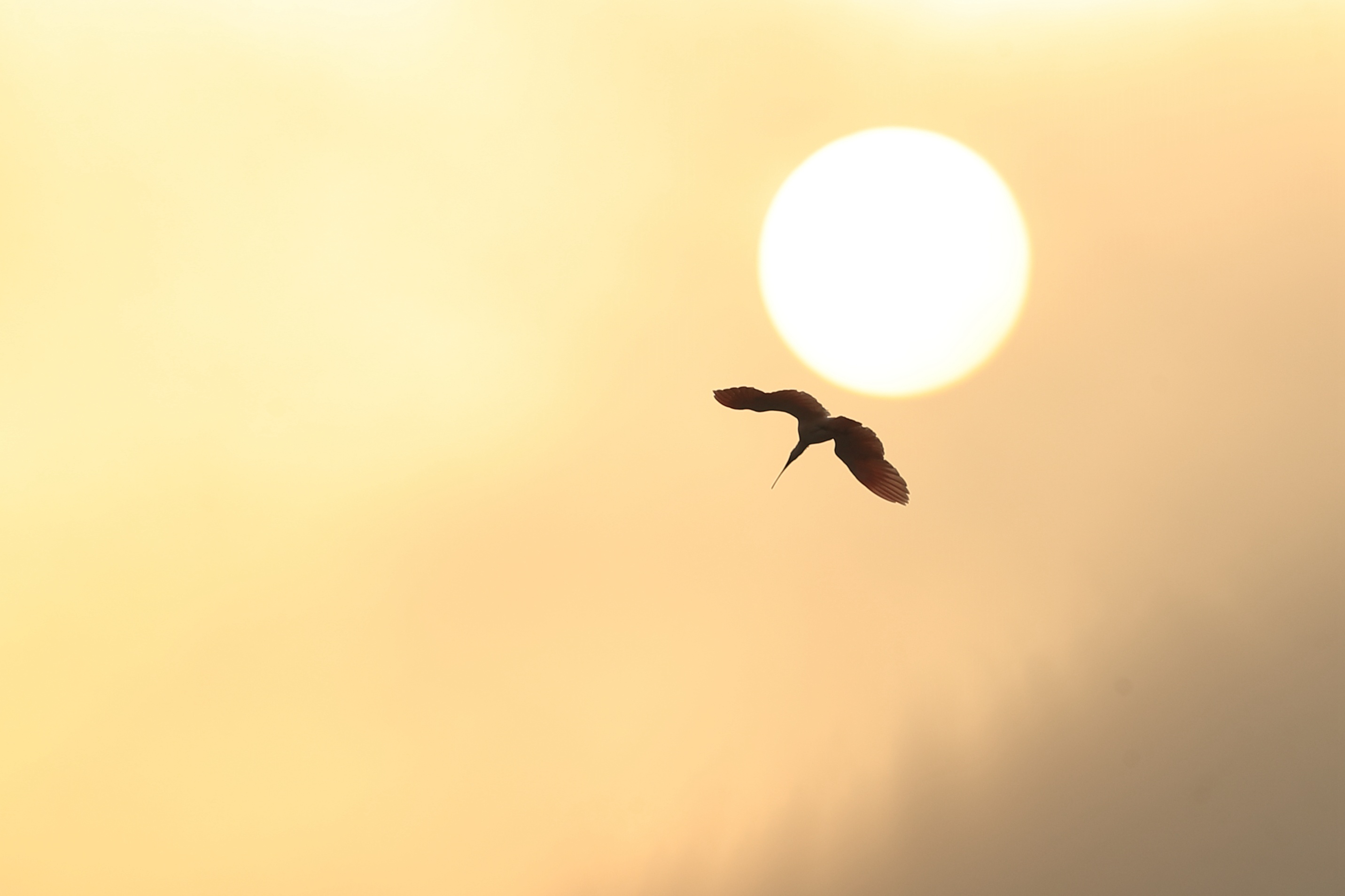 A74I7481_����1.jpg