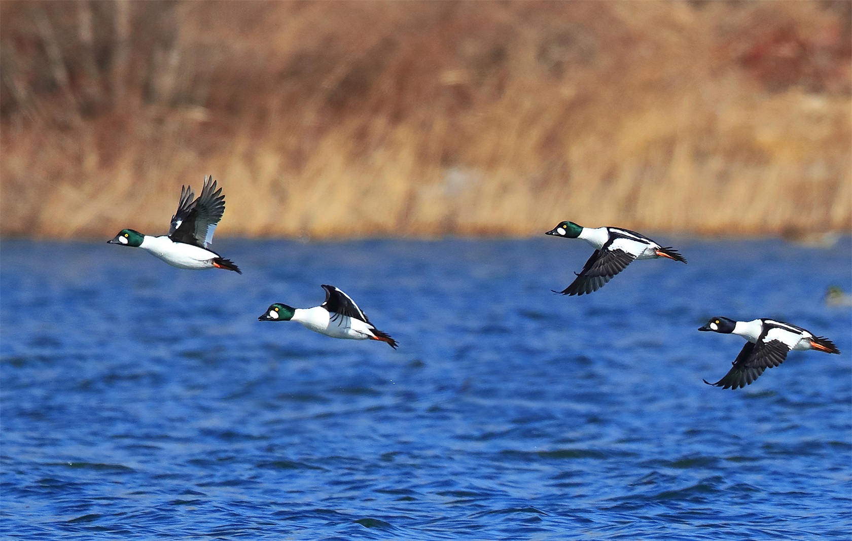 1 - ����.JPG