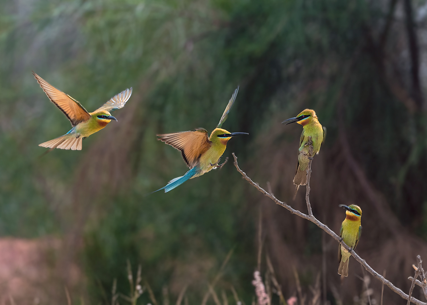 DSC_2280-2.jpg