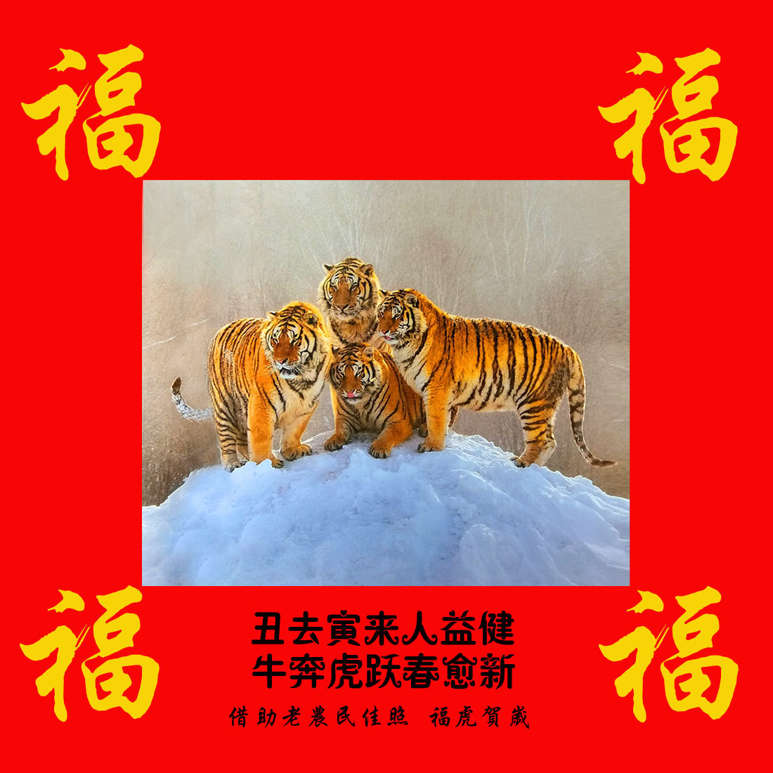 05.jpg