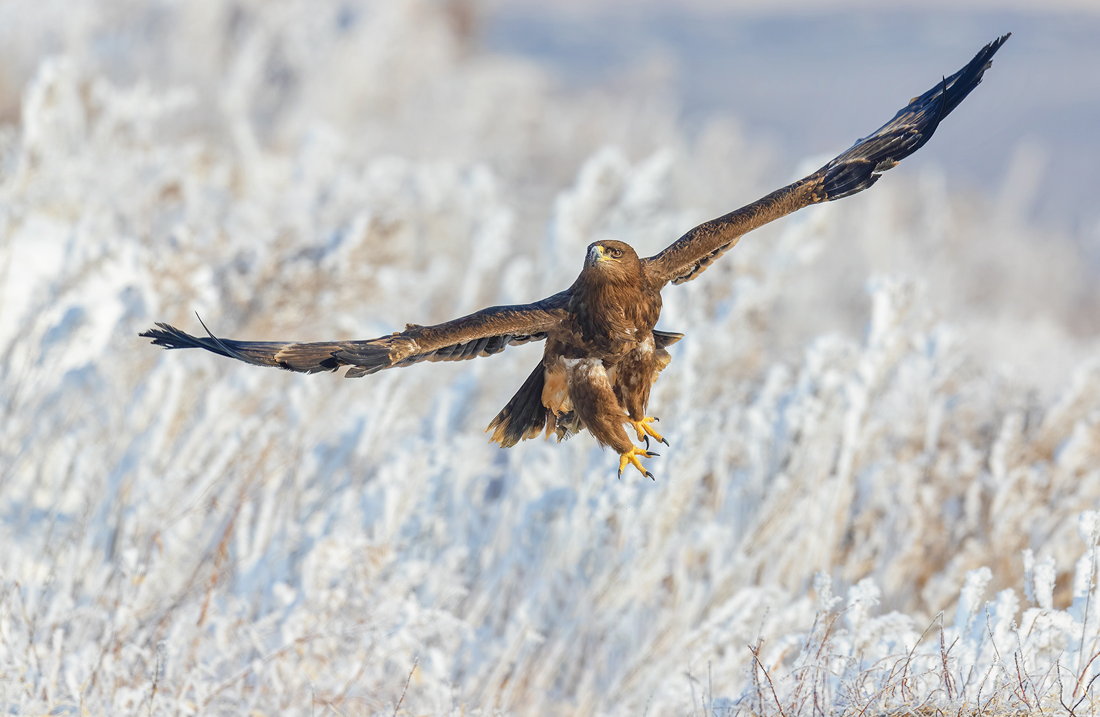 AC0I1250 ����.jpg