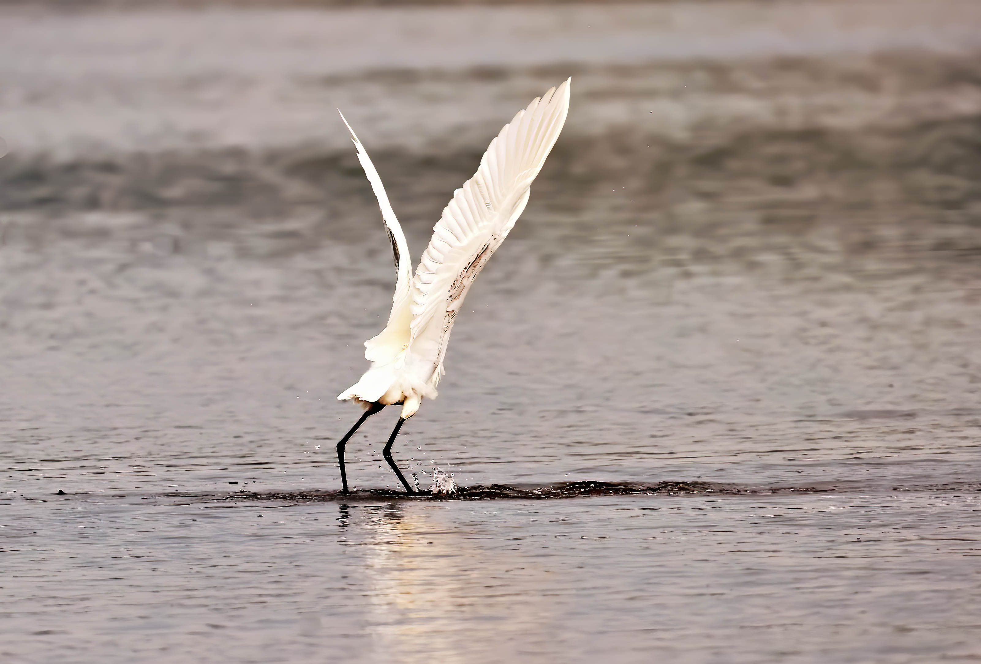 ˫���չ����